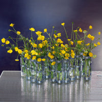 Classical April Vase [Tsé & Tsé associées]