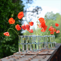 Classical April Vase [Tsé & Tsé associées]