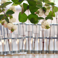 Classical April Vase [Tsé & Tsé associées]