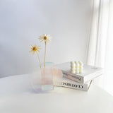 Minimal and Modern Acrylic Vase