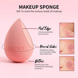 Morandi - 17pc Makeup Brush Set [docolor]
